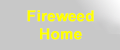 Fireweed Arabians