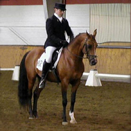 Mactalla Dressage